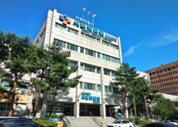 South Korea targets West Asian tourists in medical tourism push