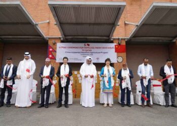 Nepal exports first vegetables to Qatar under China-backed programme