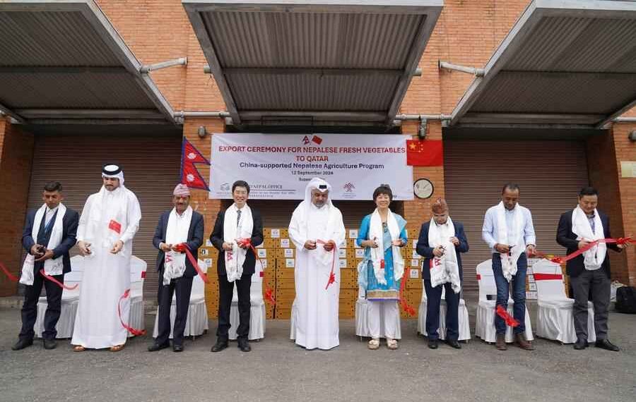 Nepal exports first vegetables to Qatar under China-backed programme